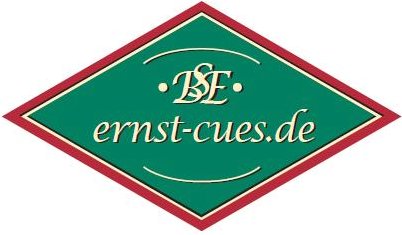 Logo Ernst